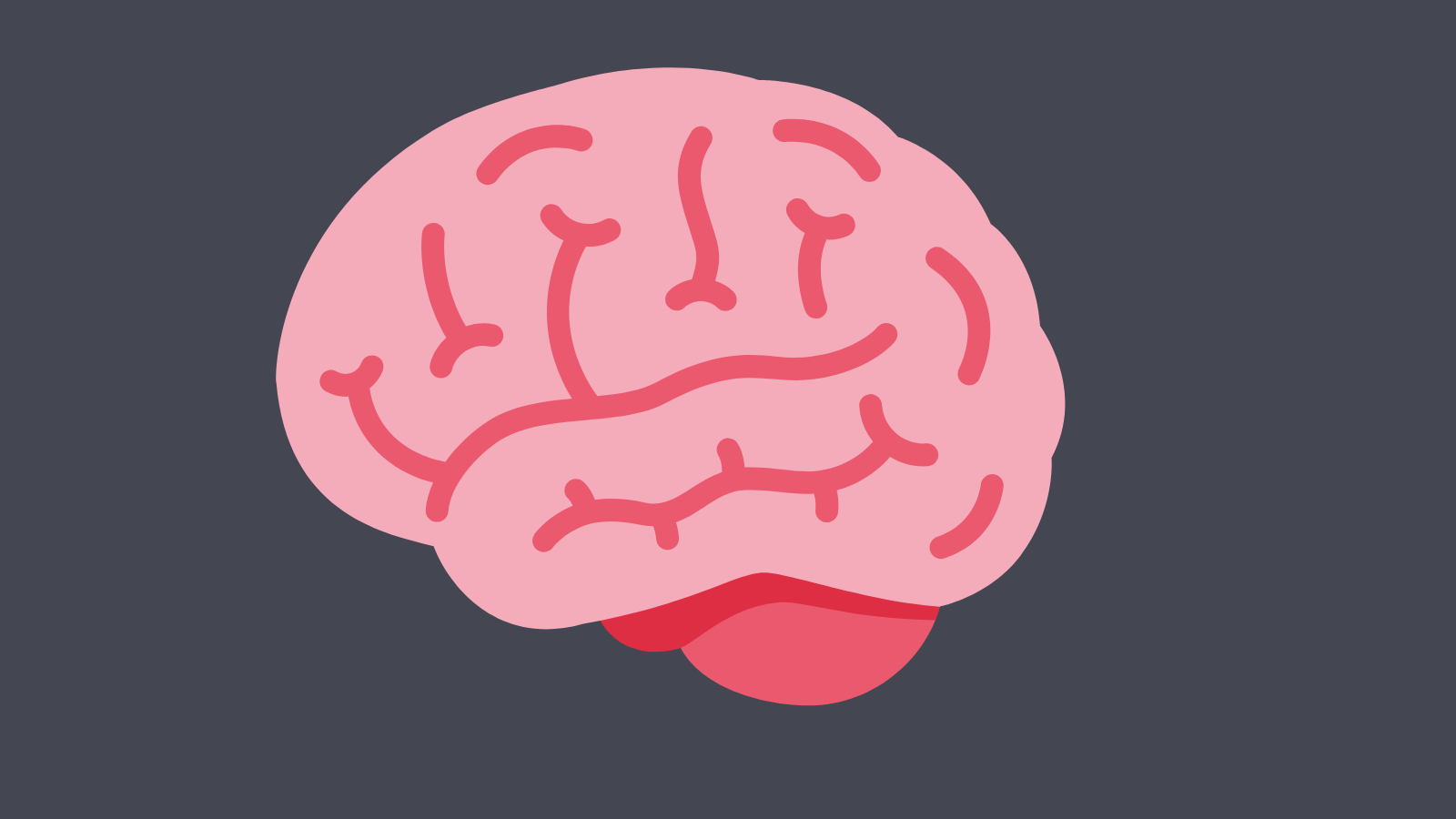 A Brain