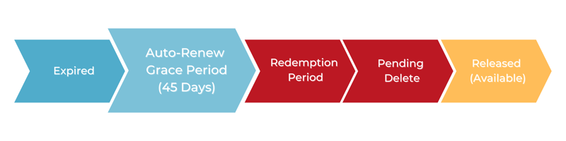 Domain lifecycle with Auto Renew Grace Period highlighted