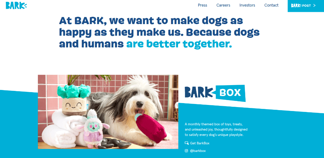 The About Page for Bark Box, featuring a picture of a sheepdog playing with a stuffed toy