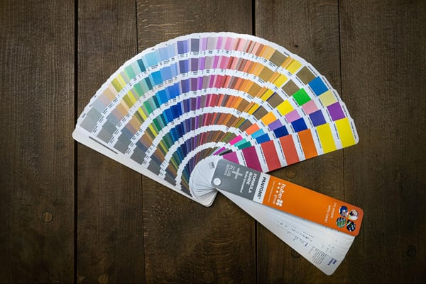 A series of paint swatches fanned out against a wood paneling background