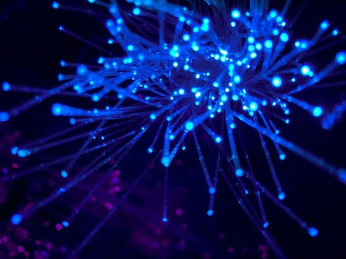 Blue glowing fiber optic cables against a black background
