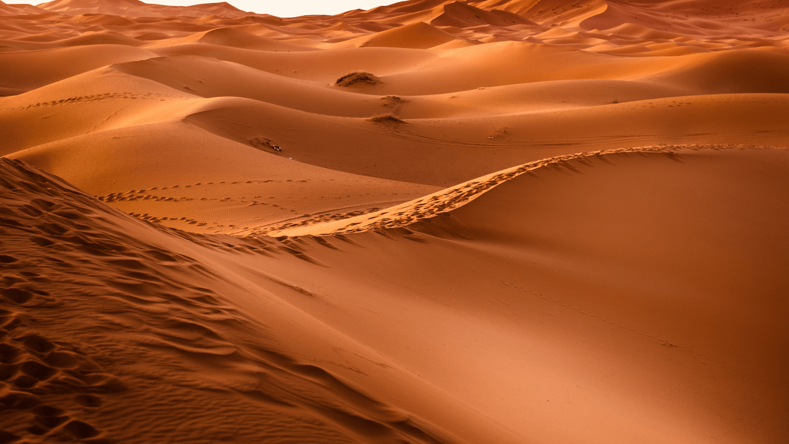 A photo of brown sand