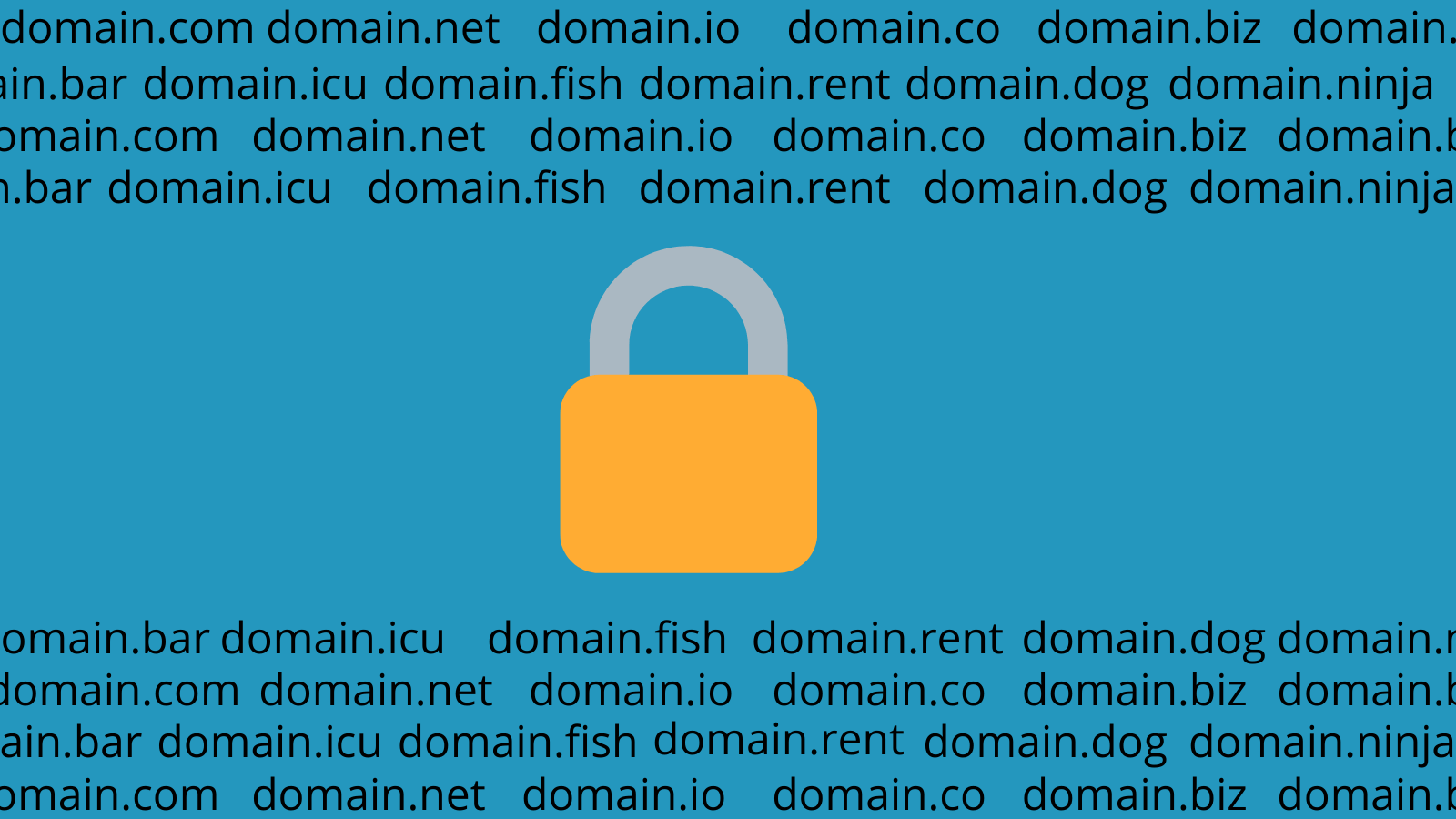 a padlock in front of text with several domain names