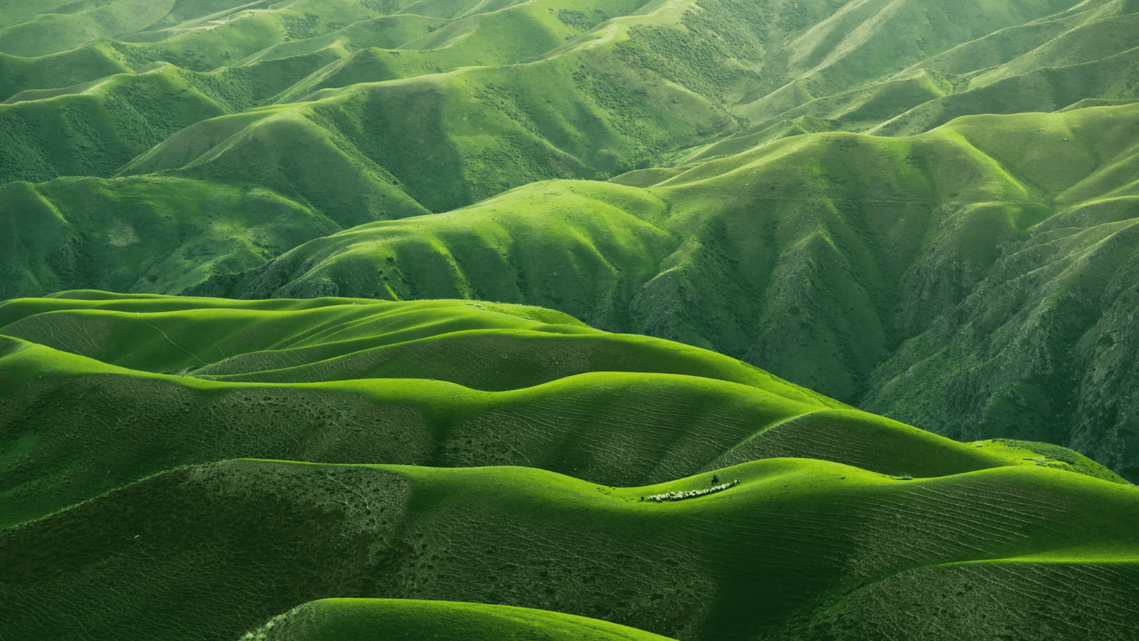 A photo of green rolling hills