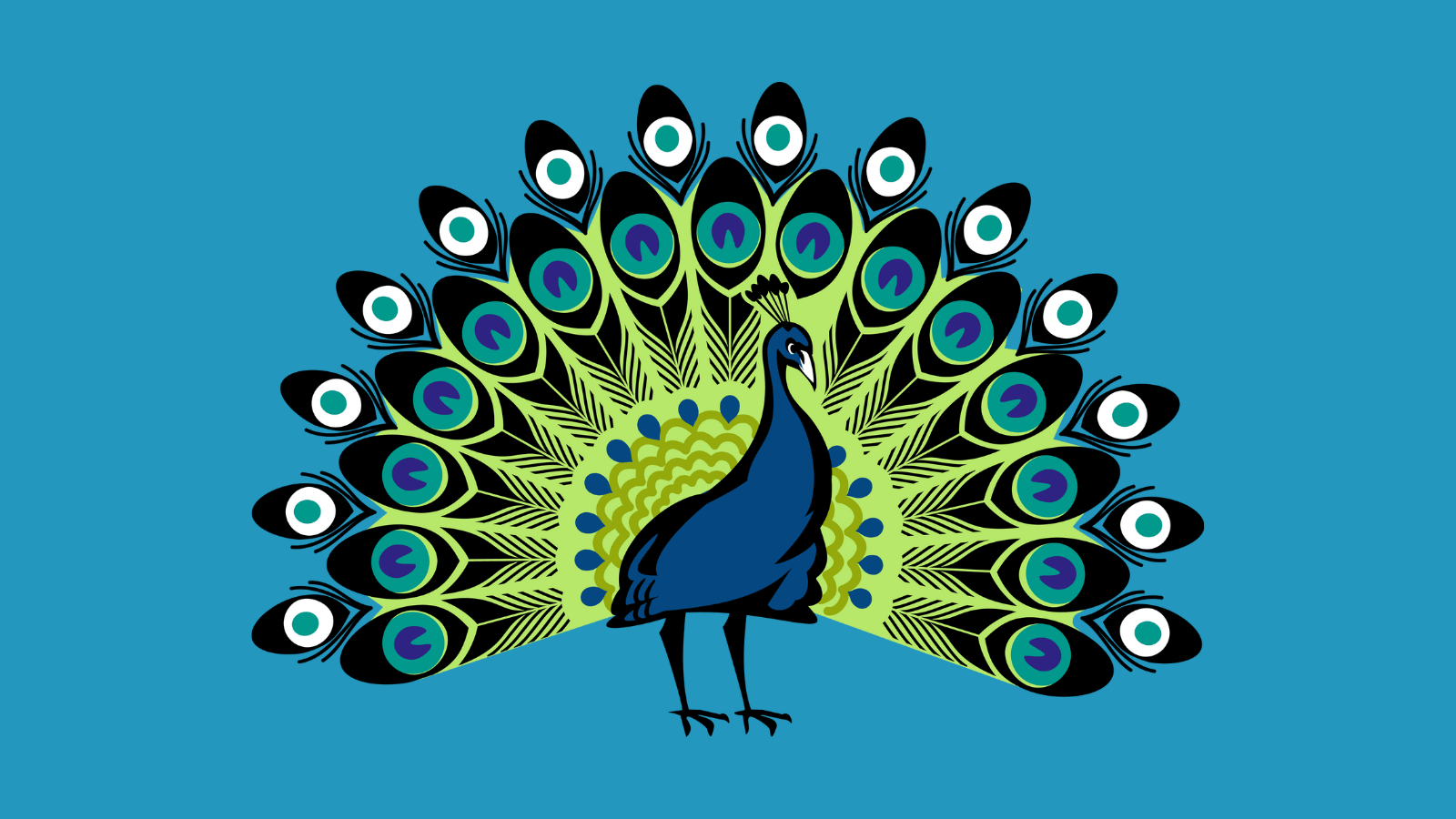 An illustration of a peacock