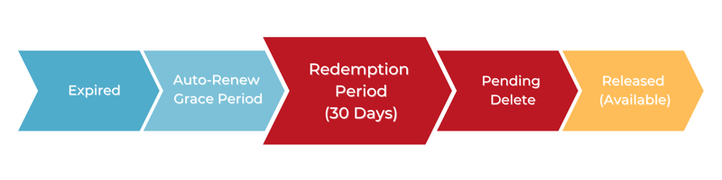 Domain lifecycle with Redemption Period highlighted