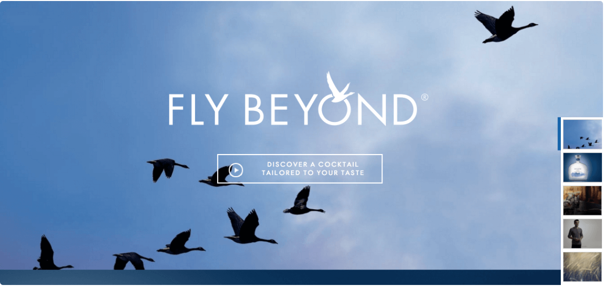 Grey Goose's homepage. The background is a sky with a flock of geese flying. 