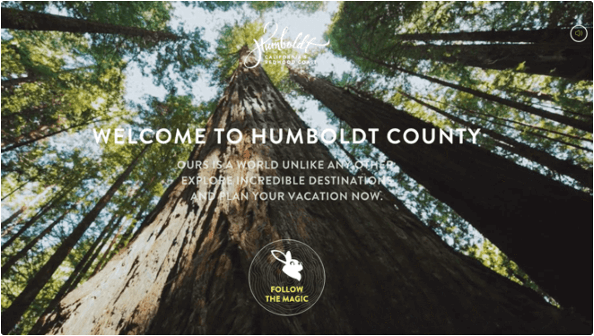 The homepage of Humboldt County's tourism website. The background is an upward shot of trees in a forest.  