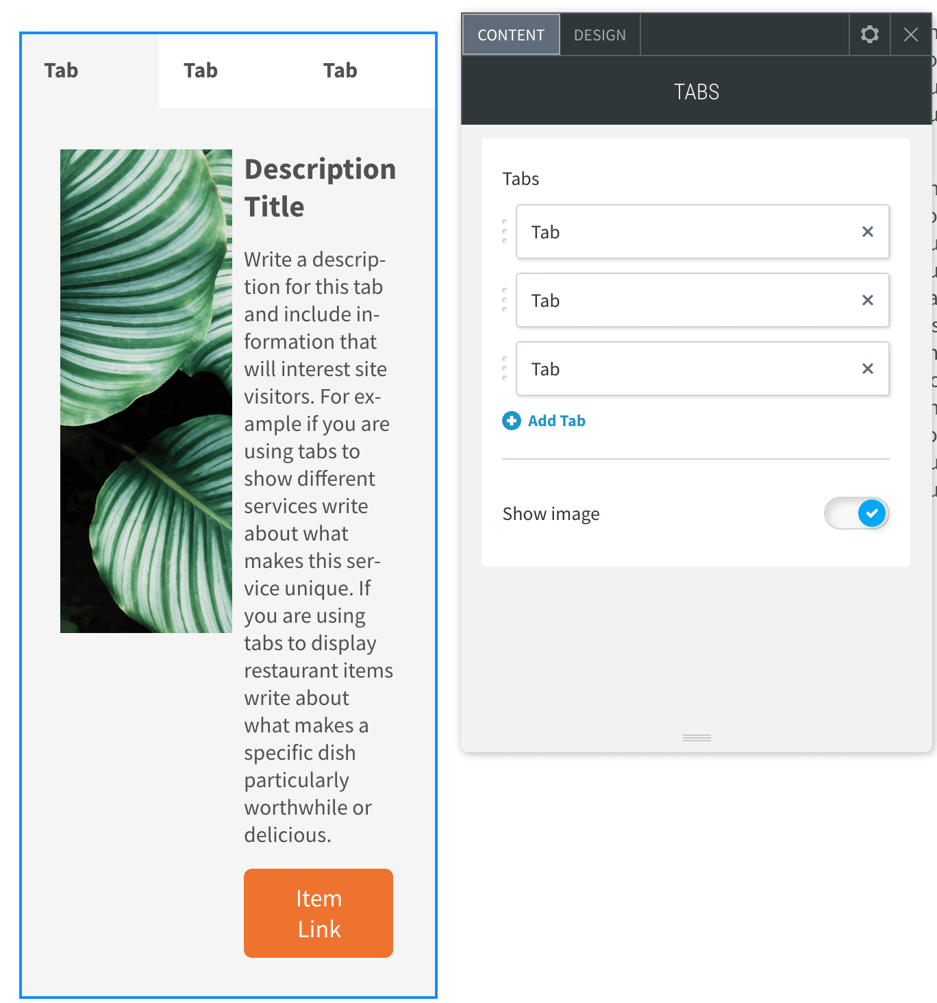 The Tabs Widget editor