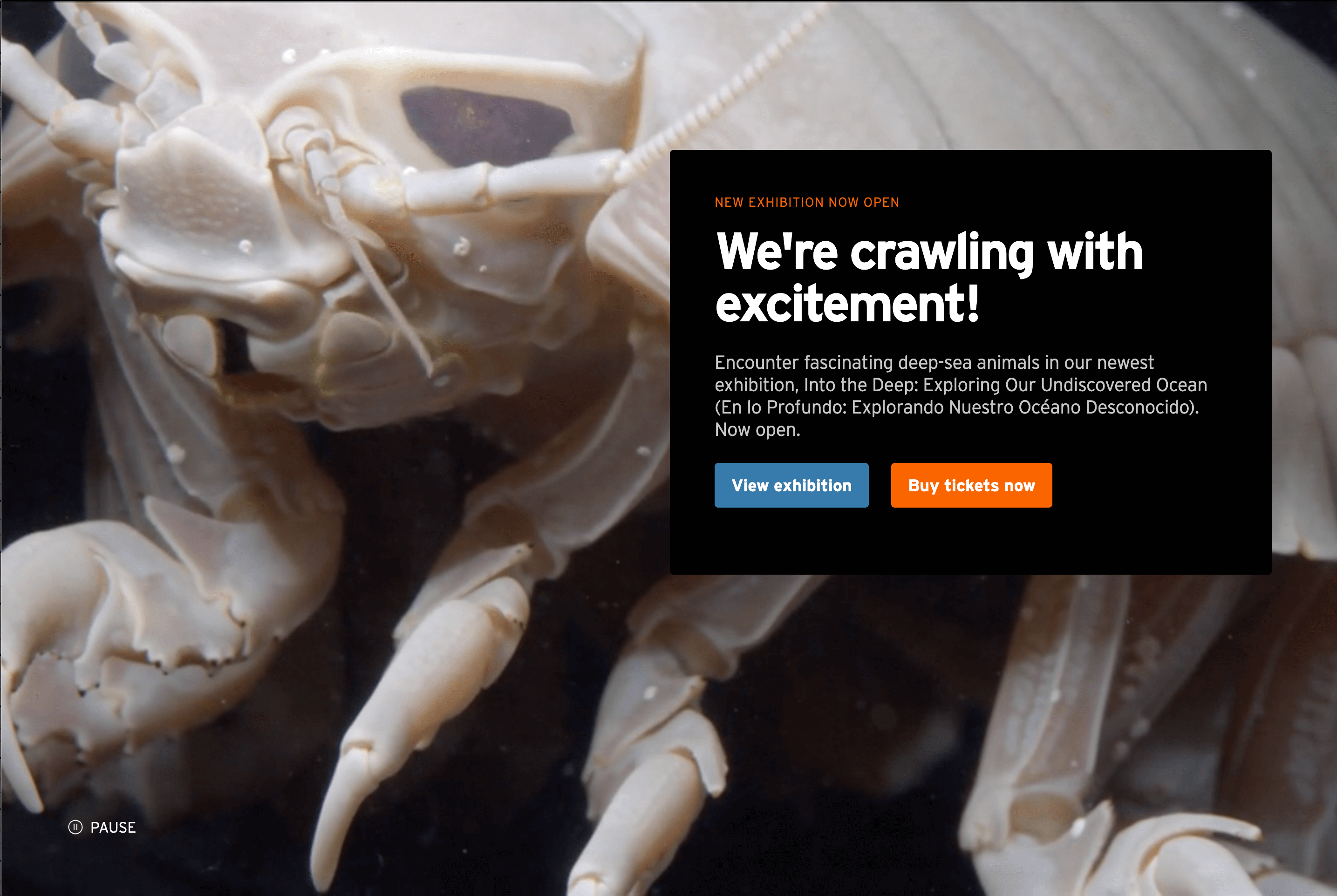 The Monterey Bay Aquarium's home page