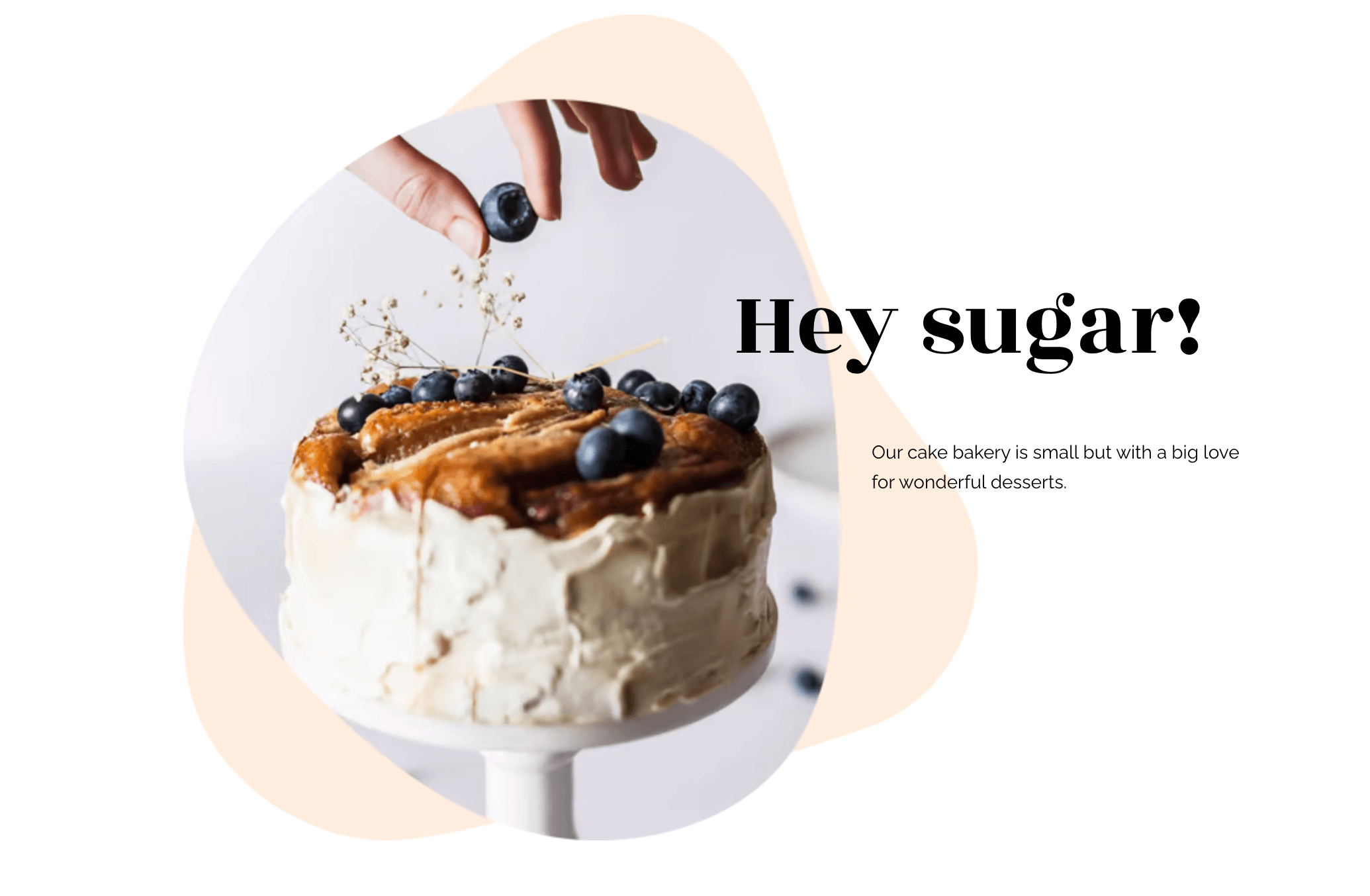 Sugaro's website header featuring a closeup of a hand decorating a cake and the words "hey sugar!"