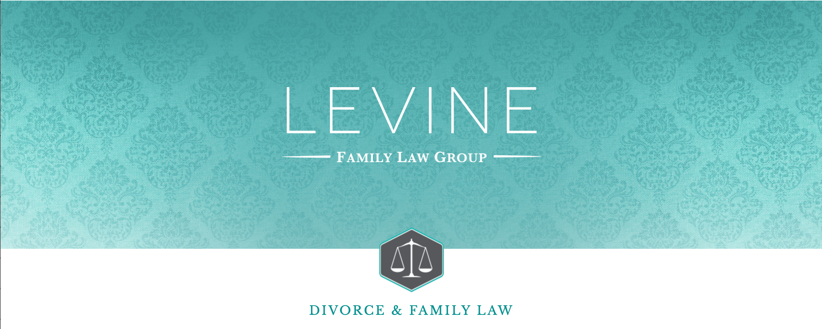 Levine Family Law Groups' website. The design is trendy and elegant.