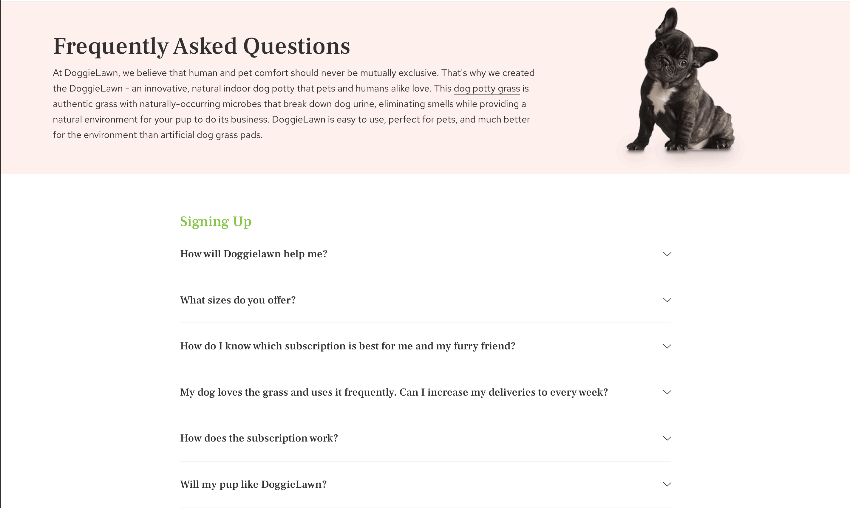 DoggieLawn's FAQ Page