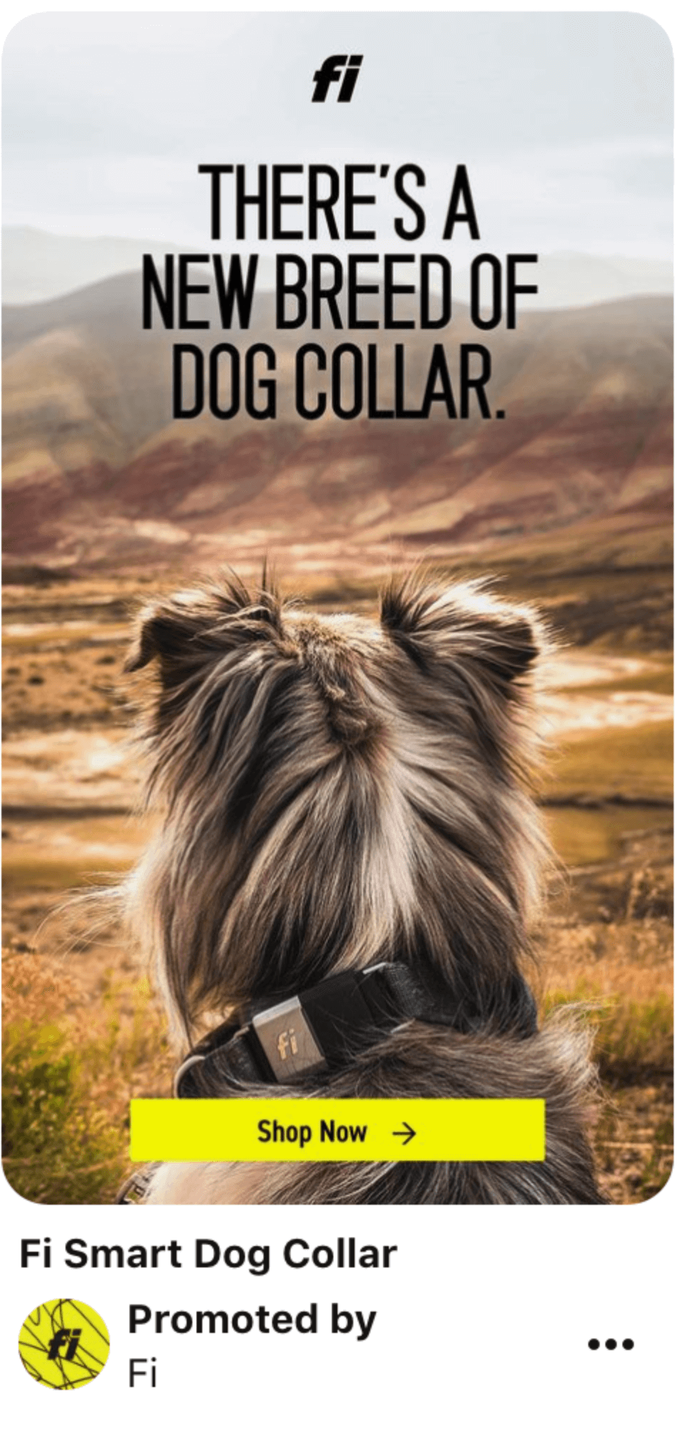 A shopping ad for a Fi smart collar