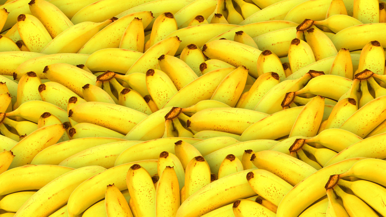 A photo of bananas