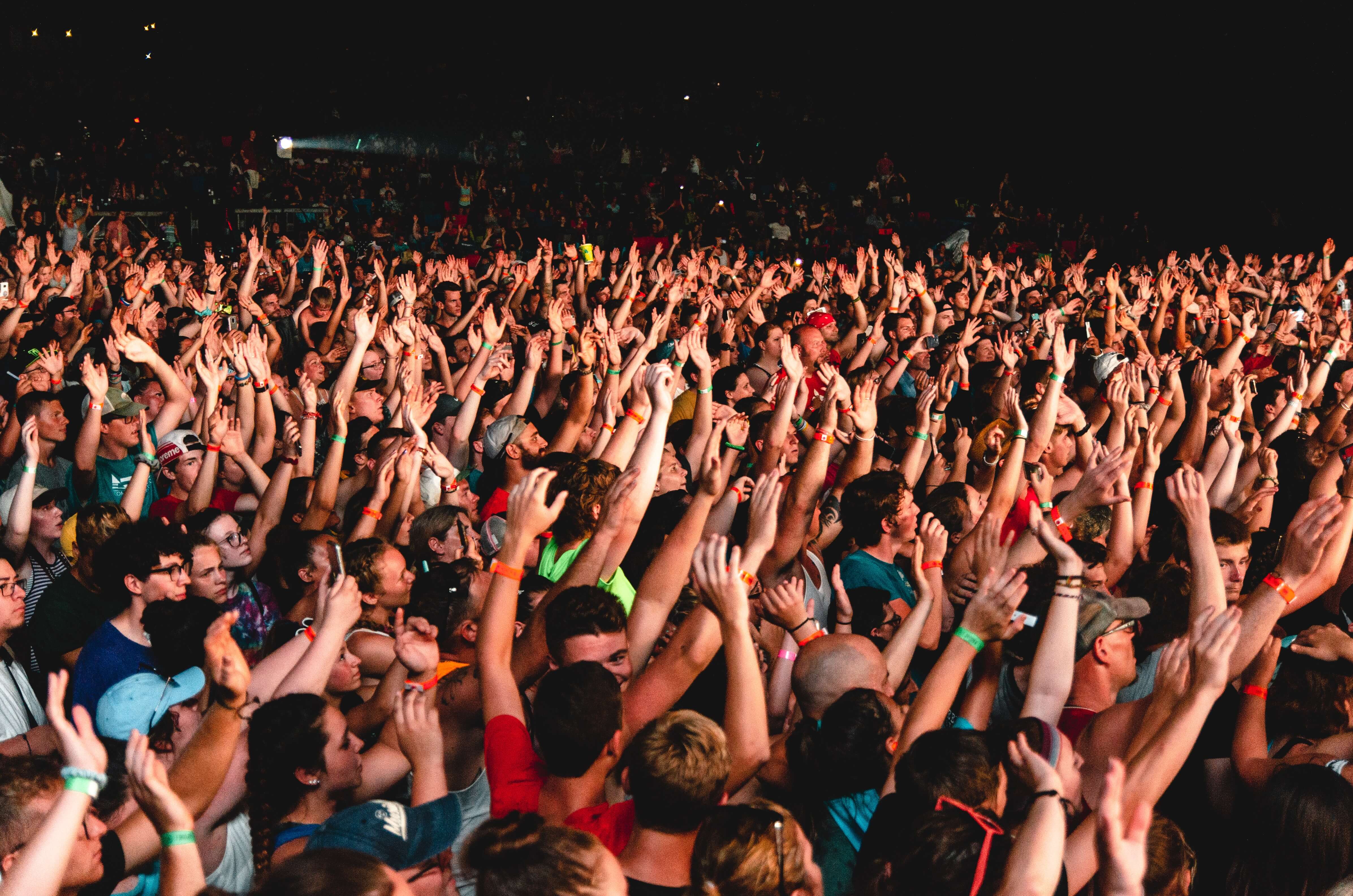 The audience at a concert