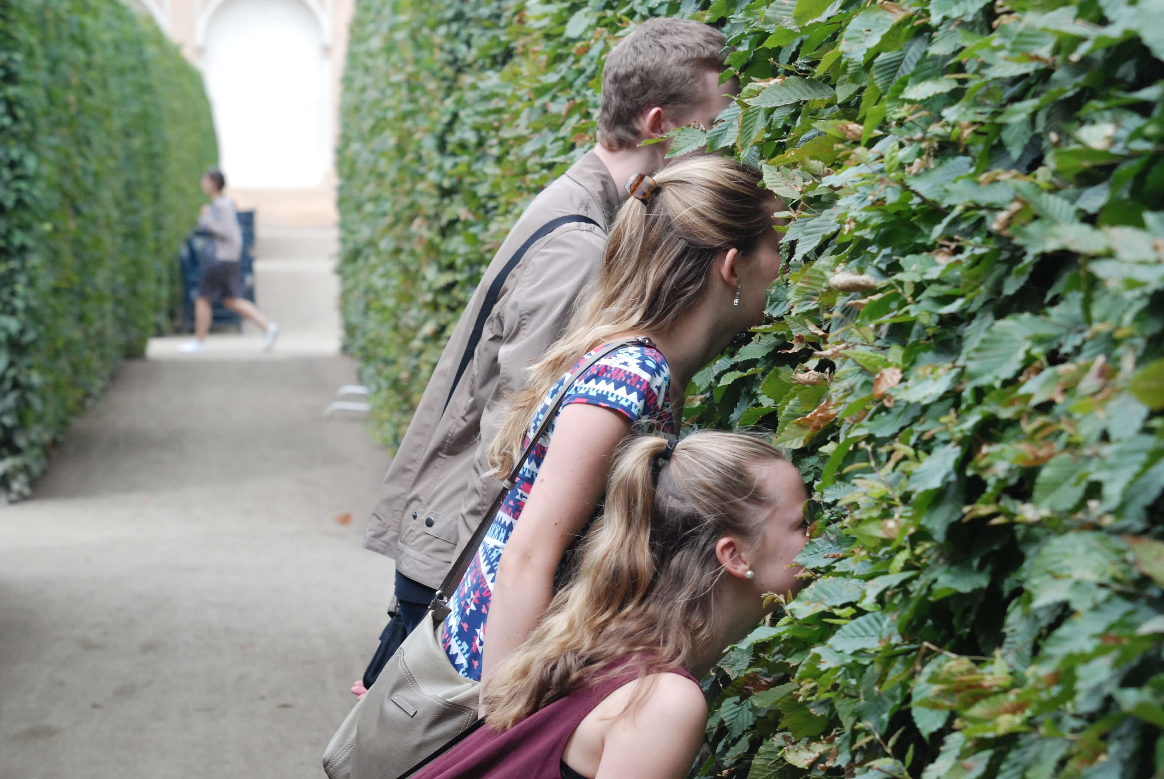 A family peeking through a bush