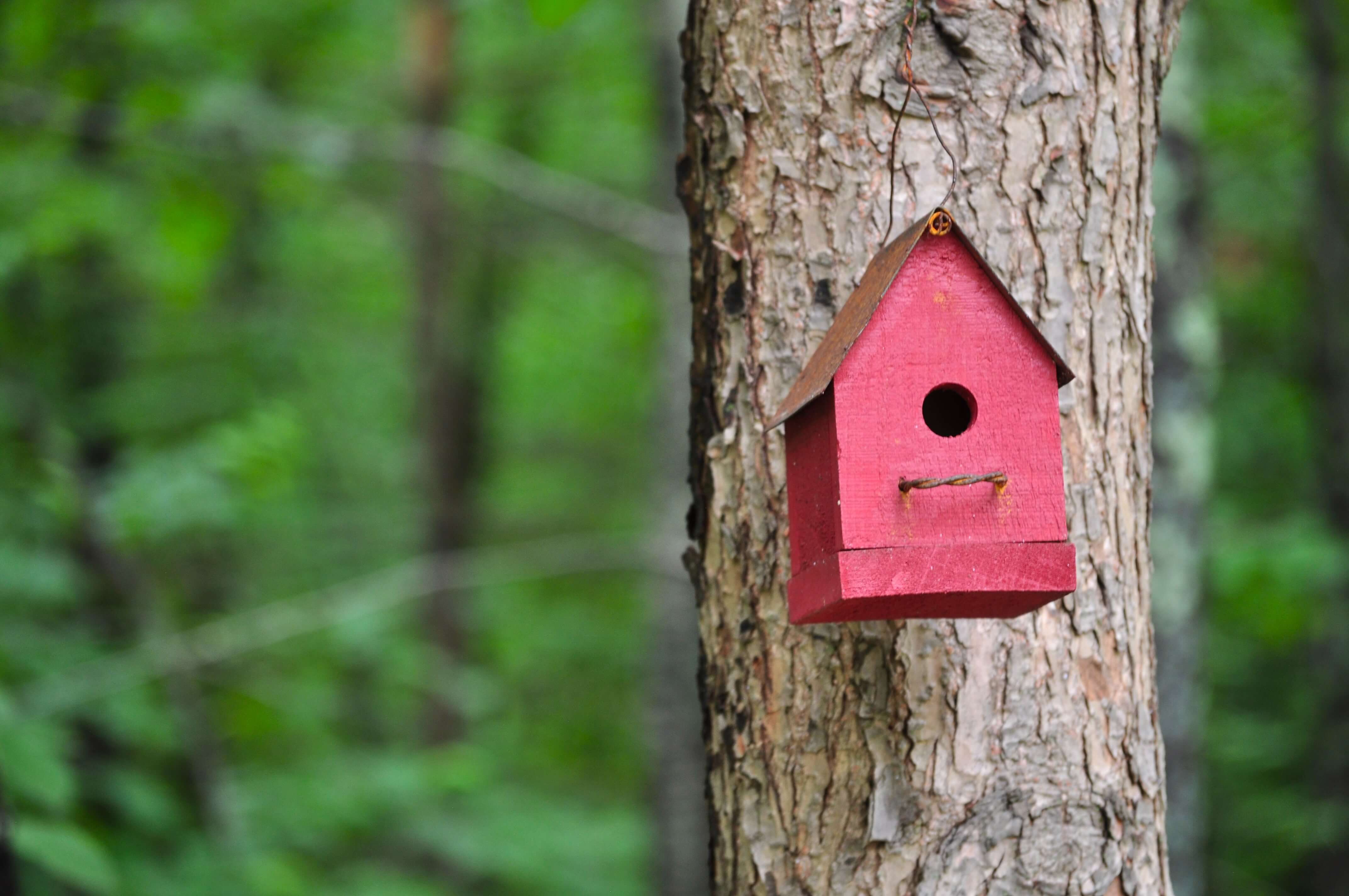 A small red bird house on a tree trunk