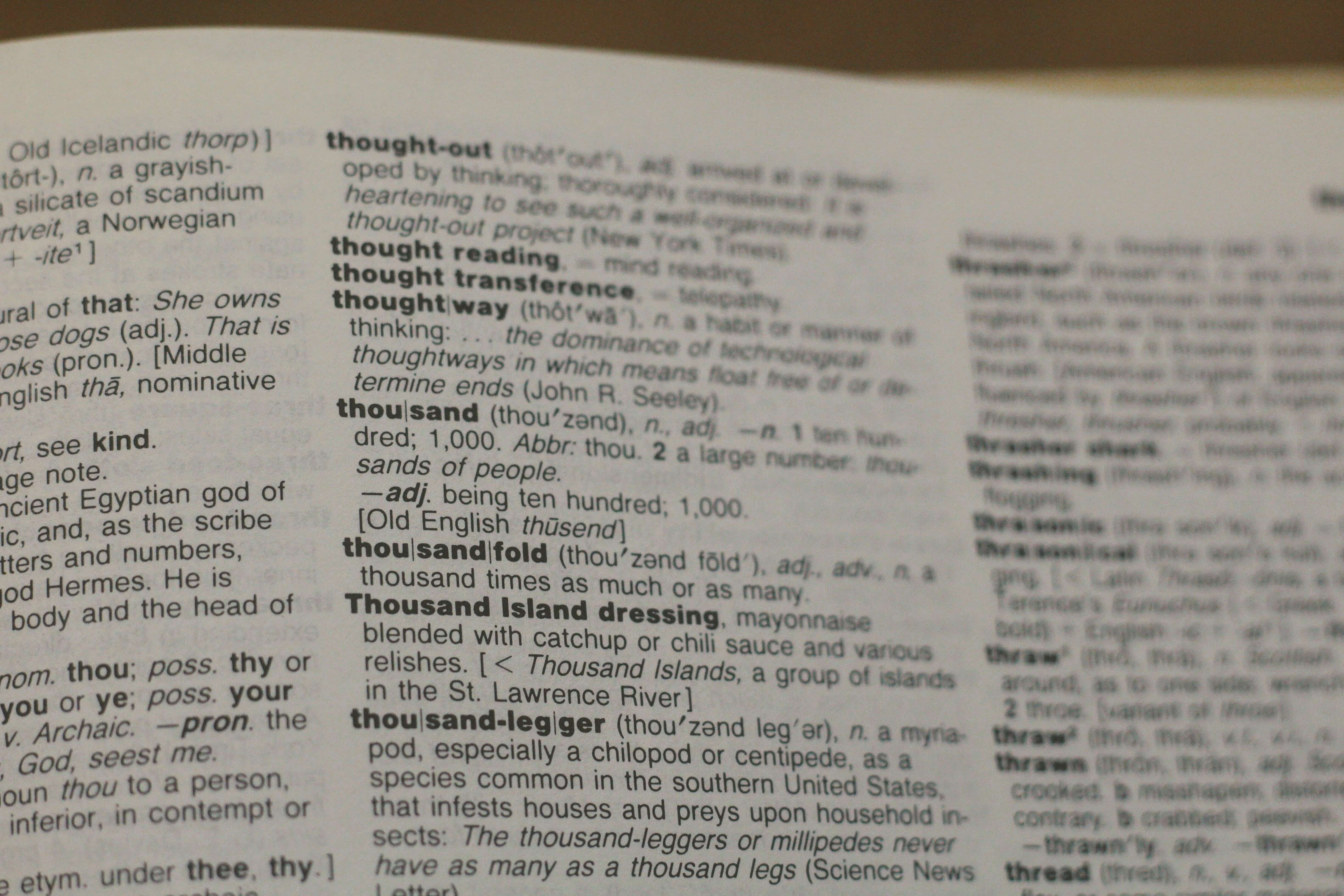 A closeup of a dictionary page