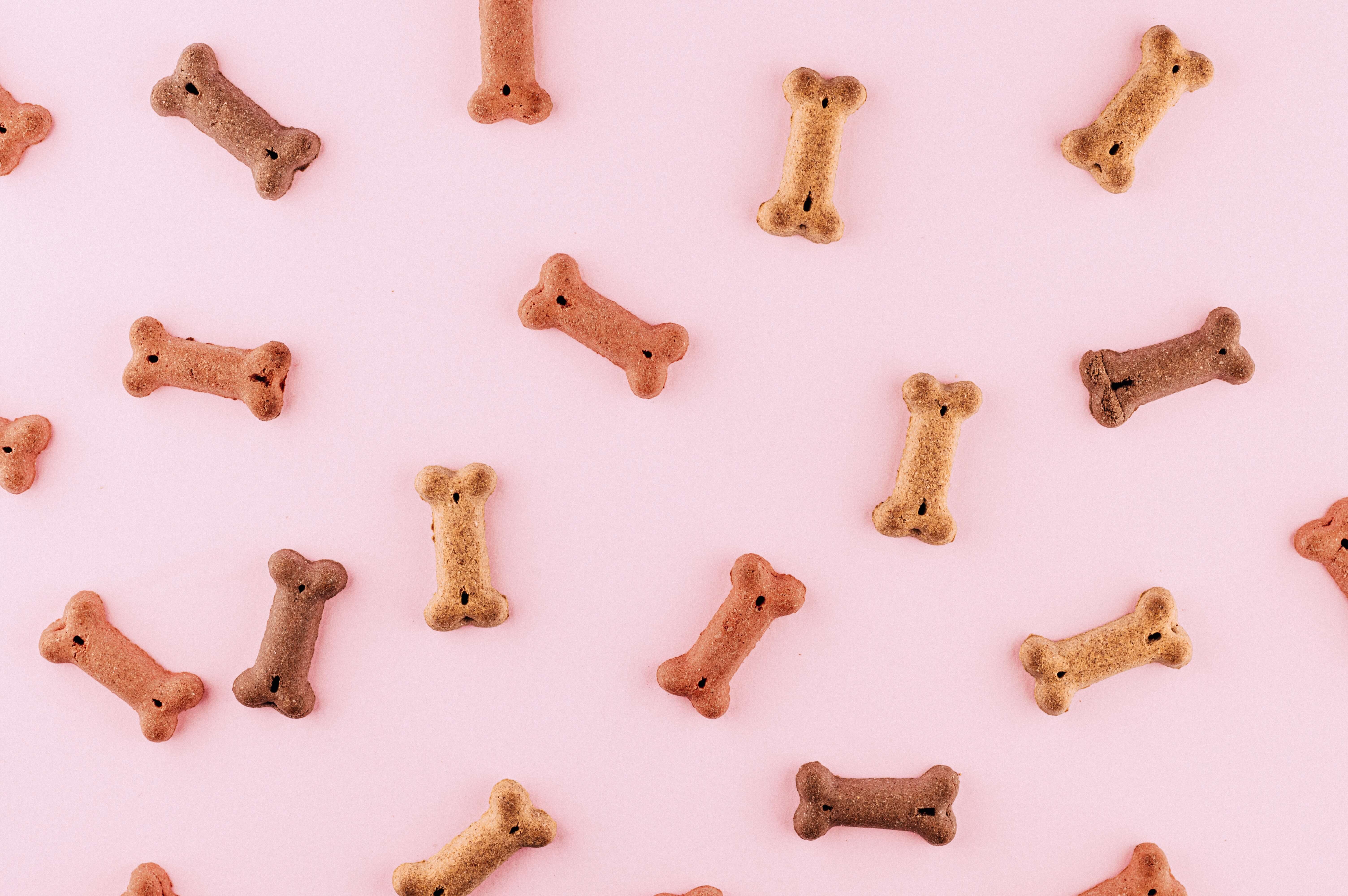 Dog biscuits on a pink background