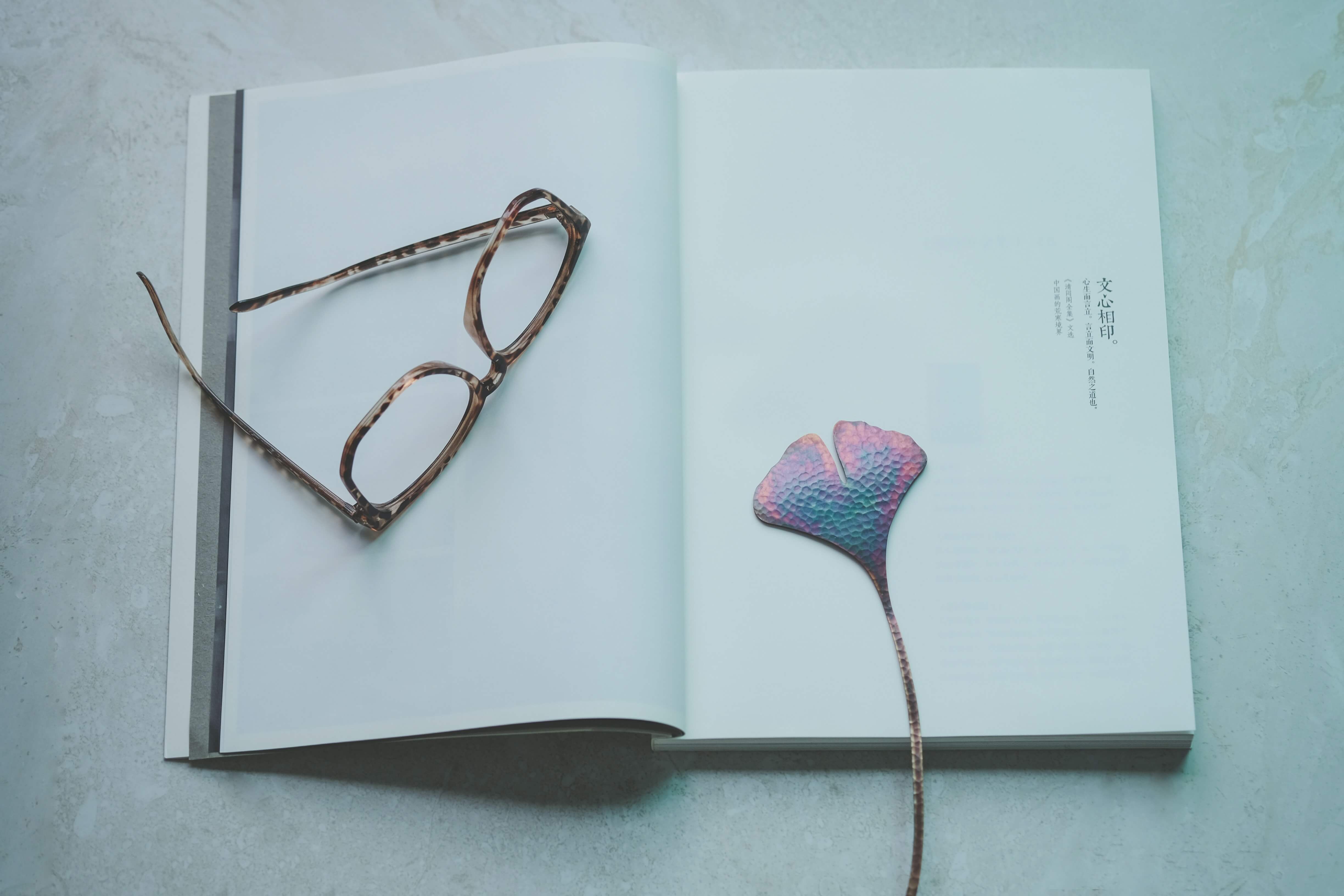 A metal bookmark and a pair of glasses resting on an open book