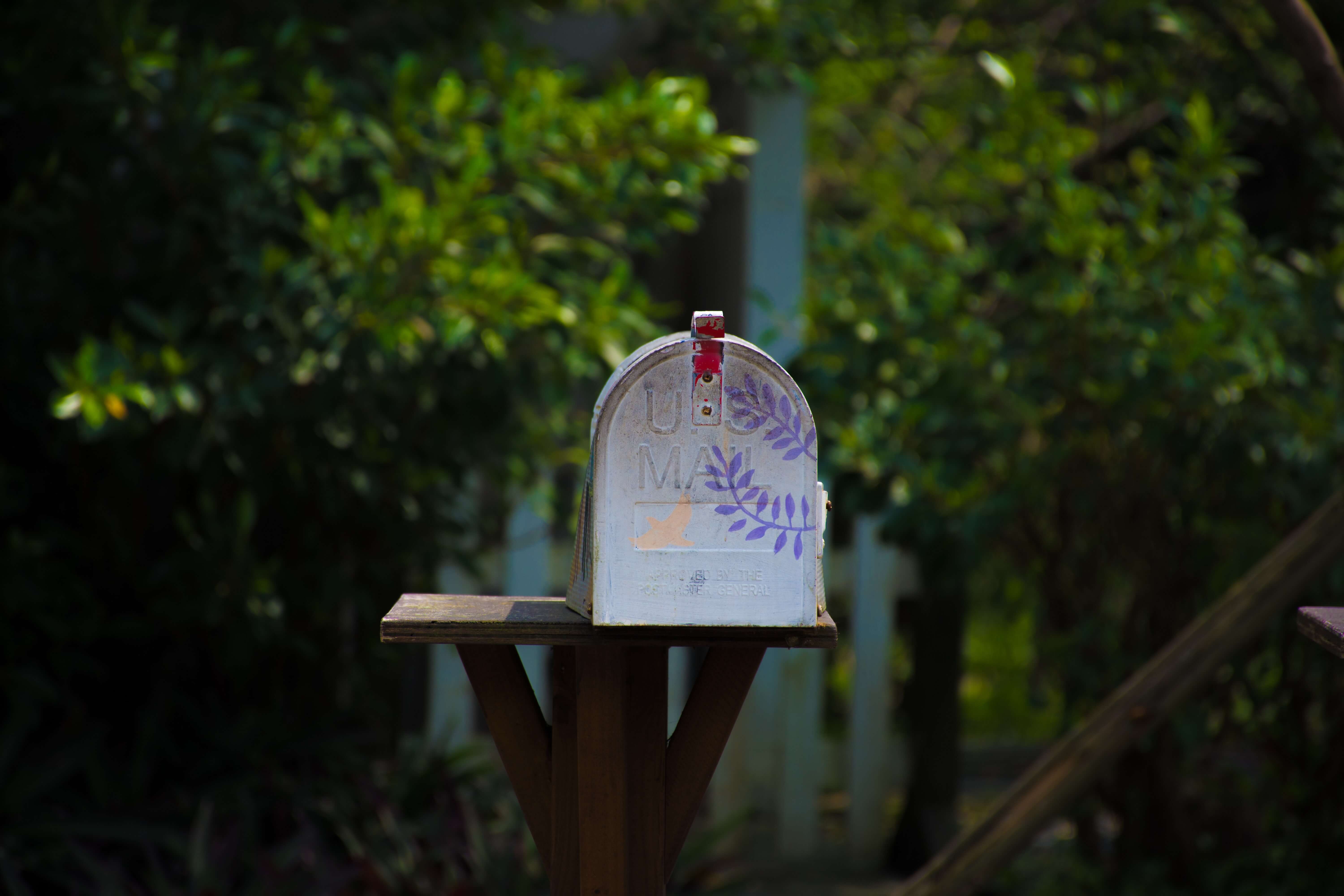 A mailbox near some bushes