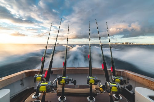 Six fishing poles set up on the back of a boat